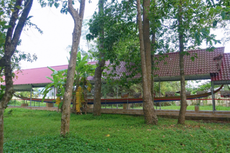  Tour Du Lịch Cộng Đồng Cồn Chim Trà Vinh 1 Ngày | Về Miền Tây Sống Lại Ký Ức Tuổi Thơ