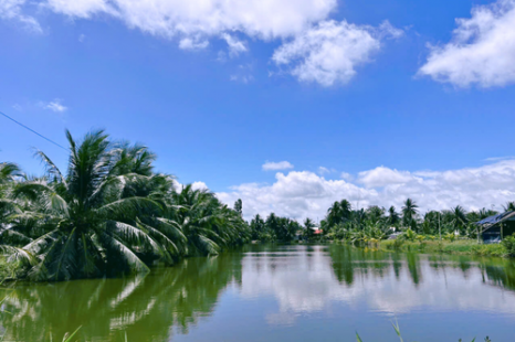  Tour Du Lịch Cộng Đồng Cồn Chim Trà Vinh 1 Ngày | Về Miền Tây Sống Lại Ký Ức Tuổi Thơ