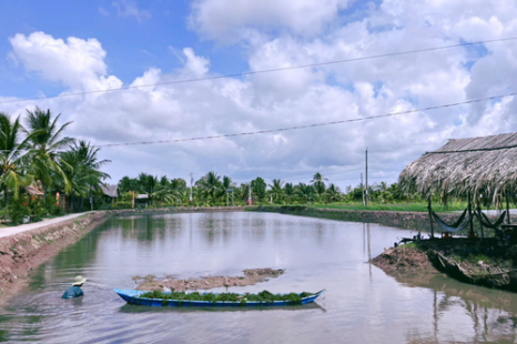  Tour Du Lịch Cộng Đồng Cồn Chim Trà Vinh 1 Ngày | Về Miền Tây Sống Lại Ký Ức Tuổi Thơ