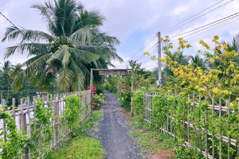  Tour Du Lịch Cộng Đồng Cồn Chim Trà Vinh 1 Ngày | Về Miền Tây Sống Lại Ký Ức Tuổi Thơ