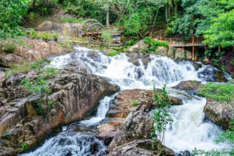 Tour Đà Lạt Ngoại Thành 1 Ngày | Thác Voi - Thác Datanla - Thác Pongour - Xưởng Tơ Lụa - Chùa - Cafe Mê Linh - Trại Ong