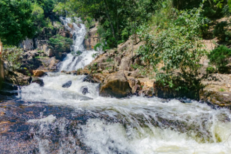 Tour Đà Lạt Ngoại Thành 1 Ngày | Thác Voi - Thác Datanla - Thác Pongour - Xưởng Tơ Lụa - Chùa - Cafe Mê Linh - Trại Ong