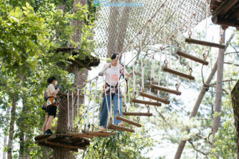 Tour Đà Lạt Ngoại Thành 1 Ngày | Thác Voi - Thác Datanla - Thác Pongour - Xưởng Tơ Lụa - Chùa - Cafe Mê Linh - Trại Ong