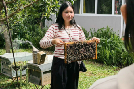 Tour Đà Lạt Ngoại Thành 1 Ngày | Thác Voi - Thác Datanla - Thác Pongour - Xưởng Tơ Lụa - Chùa - Cafe Mê Linh - Trại Ong
