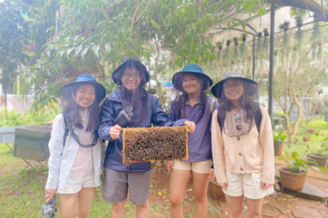 Tour Đà Lạt Ngoại Thành 1 Ngày | Thác Voi - Thác Datanla - Thác Pongour - Xưởng Tơ Lụa - Chùa - Cafe Mê Linh - Trại Ong