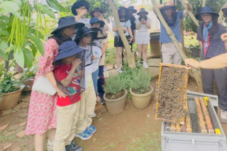Tour Đà Lạt Ngoại Thành 1 Ngày | Thác Voi - Thác Datanla - Thác Pongour - Xưởng Tơ Lụa - Chùa - Cafe Mê Linh - Trại Ong