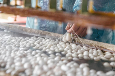 Tour Đà Lạt Ngoại Thành 1 Ngày | Thác Voi - Thác Datanla - Thác Pongour - Xưởng Tơ Lụa - Chùa - Cafe Mê Linh - Trại Ong