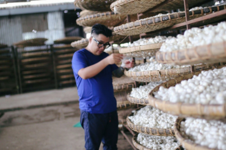 Tour Đà Lạt Ngoại Thành 1 Ngày | Thác Voi - Thác Datanla - Thác Pongour - Xưởng Tơ Lụa - Chùa - Cafe Mê Linh - Trại Ong