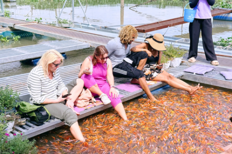 Tour Miền Tây 8 Tỉnh 6 ngày | Tiền Giang - Bến Tre - Cần Thơ - An Giang - Kiên Giang - Cà Mau - Bạc Liêu - Sóc Trăng