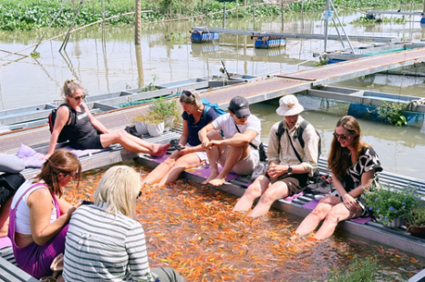 Tour Miền Tây 8 Tỉnh 6 ngày | Tiền Giang - Bến Tre - Cần Thơ - An Giang - Kiên Giang - Cà Mau - Bạc Liêu - Sóc Trăng