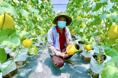 Tour 9 Tỉnh MIỀN TÂY 5N4Đ | Đi Trọn Cửu Long - Cây Trái Sông Nước - Hương Sắc Miền Quê