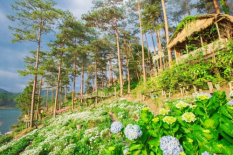 Tour Đà Lạt 3 Ngày 3 Đêm (Xe Giường Nằm) - KH từ TP.HCM | Langbiang Land - Quê Garden - Chuyến Tàu Cổ