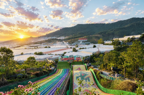 Tour Đà Lạt 3 Ngày 3 Đêm (Xe Giường Nằm) - KH từ TP.HCM | Langbiang Land - Quê Garden - Chuyến Tàu Cổ