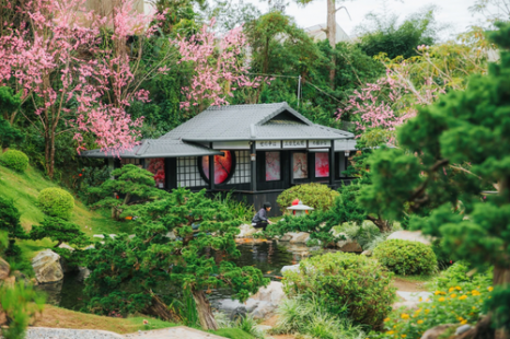 Tour Đà Lạt 3 Ngày 3 Đêm (Xe Giường Nằm) - KH từ TP.HCM | Langbiang Land - Quê Garden - Chuyến Tàu Cổ