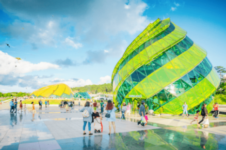 Tour Đà Lạt 3 Ngày 3 Đêm (Xe Giường Nằm) - KH từ TP.HCM | Langbiang Land - Quê Garden - Chuyến Tàu Cổ