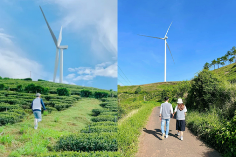 Tour Đà Lạt 4 Ngày 3 Đêm | Tuyệt Tác Phố Núi - Lạc Bước Giữa Rừng Hoa Và Đón Sương Chùng Chình