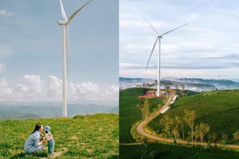 Tour Đà Lạt 4 Ngày 3 Đêm | Tuyệt Tác Phố Núi - Lạc Bước Giữa Rừng Hoa Và Đón Sương Chùng Chình