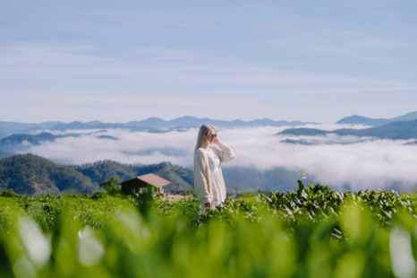 Tour Đà Lạt 4 Ngày 3 Đêm | Tuyệt Tác Phố Núi - Lạc Bước Giữa Rừng Hoa Và Đón Sương Chùng Chình