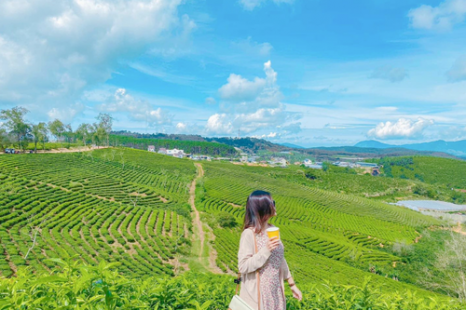 Tour Đà Lạt 4 Ngày 3 Đêm | Tuyệt Tác Phố Núi - Lạc Bước Giữa Rừng Hoa Và Đón Sương Chùng Chình
