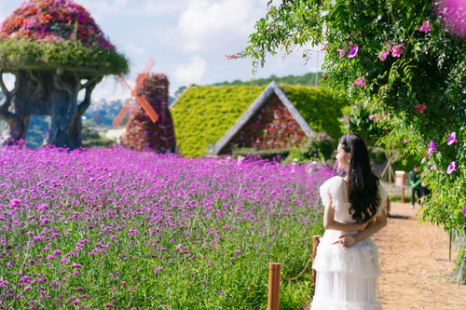 Tour Đà Lạt 4 Ngày 3 Đêm | Tuyệt Tác Phố Núi - Lạc Bước Giữa Rừng Hoa Và Đón Sương Chùng Chình