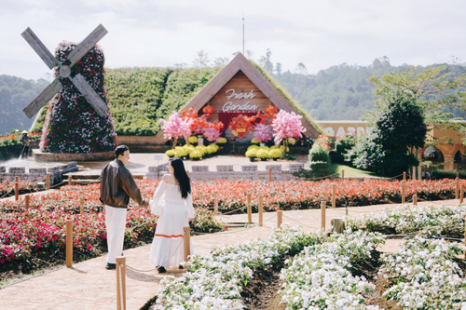 Tour Đà Lạt 4 Ngày 3 Đêm | Tuyệt Tác Phố Núi - Lạc Bước Giữa Rừng Hoa Và Đón Sương Chùng Chình