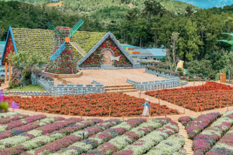 Tour Đà Lạt 4 Ngày 3 Đêm | Tuyệt Tác Phố Núi - Lạc Bước Giữa Rừng Hoa Và Đón Sương Chùng Chình