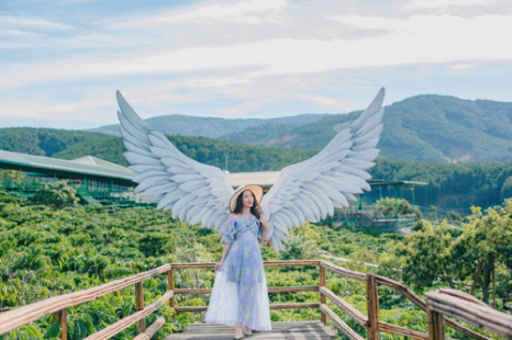 Tour Đà Lạt 4 Ngày 3 Đêm | Tuyệt Tác Phố Núi - Lạc Bước Giữa Rừng Hoa Và Đón Sương Chùng Chình