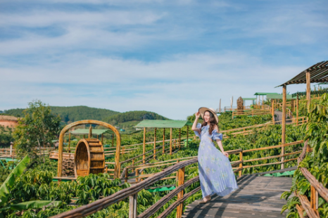 Tour Đà Lạt 4 Ngày 3 Đêm | Tuyệt Tác Phố Núi - Lạc Bước Giữa Rừng Hoa Và Đón Sương Chùng Chình