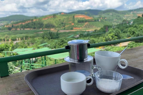 Tour Đà Lạt 4 Ngày 3 Đêm | Tuyệt Tác Phố Núi - Lạc Bước Giữa Rừng Hoa Và Đón Sương Chùng Chình