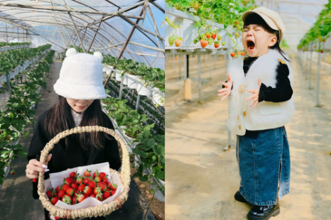 Tour Đà Lạt 4 Ngày 3 Đêm | Tuyệt Tác Phố Núi - Lạc Bước Giữa Rừng Hoa Và Đón Sương Chùng Chình