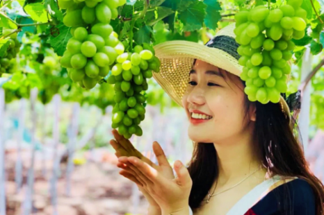 TOUR NHA TRANG 3 Ngày 3 Đêm (Xe Giường Nằm) | Khám phá Bãi Tranh - Vịnh San Hô - Tắm Bùn Tháp Bà