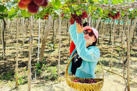 TOUR NHA TRANG 3 Ngày 3 Đêm (Xe Giường Nằm) | Khám phá Bãi Tranh - Vịnh San Hô - Tắm Bùn Tháp Bà
