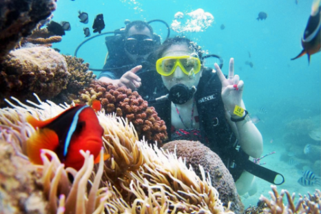 TOUR NHA TRANG 3 Ngày 3 Đêm (Xe Giường Nằm) | Khám phá Bãi Tranh - Vịnh San Hô - Tắm Bùn Tháp Bà