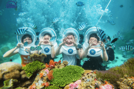 TOUR NHA TRANG 3 Ngày 3 Đêm (Xe Giường Nằm) | Khám phá Bãi Tranh - Vịnh San Hô - Tắm Bùn Tháp Bà