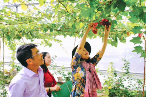 Tour 8 Tỉnh MIỀN TÂY 4N3Đ | Tiền Giang - Bến Tre - Cần Thơ - Sóc Trăng - Bạc Liêu - Cà Mau - Kiên Giang - An Giang