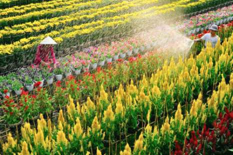 Tour 9 Tỉnh MIỀN TÂY 5N4Đ | Đi Trọn Cửu Long - Cây Trái Sông Nước - Hương Sắc Miền Quê