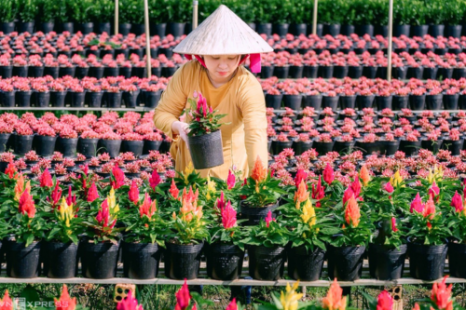 Tour 9 Tỉnh MIỀN TÂY 5N4Đ | Đi Trọn Cửu Long - Cây Trái Sông Nước - Hương Sắc Miền Quê