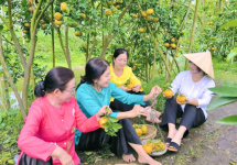 Tour 9 Tỉnh MIỀN TÂY 5N4Đ | Đi Trọn Cửu Long - Cây Trái Sông Nước - Hương Sắc Miền Quê