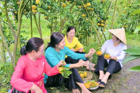 Tour 9 Tỉnh MIỀN TÂY 5N4Đ | Đi Trọn Cửu Long - Cây Trái Sông Nước - Hương Sắc Miền Quê