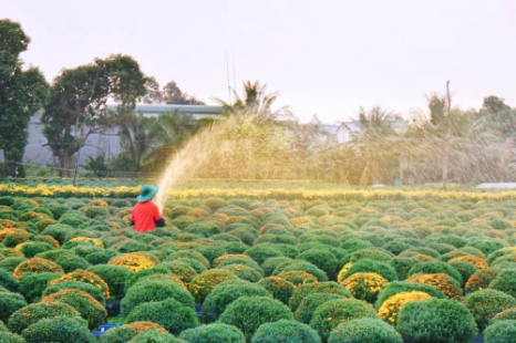 Tour 9 Tỉnh MIỀN TÂY 5N4Đ | Đi Trọn Cửu Long - Cây Trái Sông Nước - Hương Sắc Miền Quê