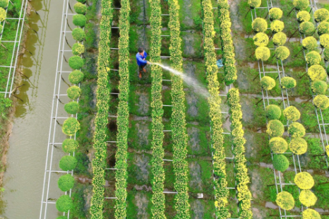 Tour 9 Tỉnh MIỀN TÂY 5N4Đ | Đi Trọn Cửu Long - Cây Trái Sông Nước - Hương Sắc Miền Quê