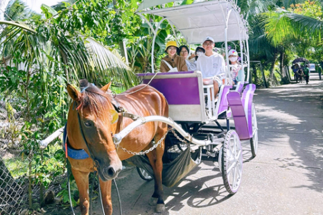 Tour MIỀN TÂY 7 TỈNH | 4 Ngày | Mỹ Tho - Bến Tre - Châu Đốc - Cần Thơ - Cà Mau - Bạc Liêu - Sóc Trăng