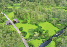 Tour MIỀN TÂY 7 TỈNH | 4 Ngày | Mỹ Tho - Bến Tre - Châu Đốc - Cần Thơ - Cà Mau - Bạc Liêu - Sóc Trăng