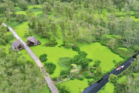 Tour MIỀN TÂY 7 TỈNH | 4 Ngày | Mỹ Tho - Bến Tre - Châu Đốc - Cần Thơ - Cà Mau - Bạc Liêu - Sóc Trăng