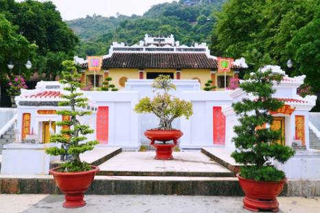 Tour MIỀN TÂY 7 TỈNH | 4 Ngày | Mỹ Tho - Bến Tre - Châu Đốc - Cần Thơ - Cà Mau - Bạc Liêu - Sóc Trăng