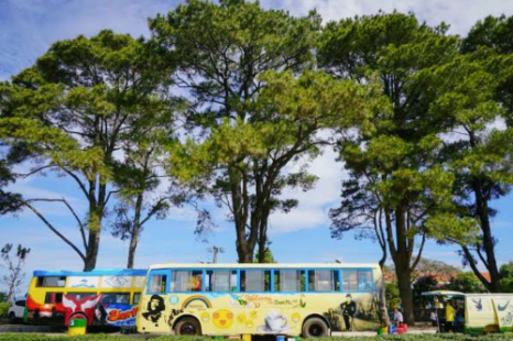 Tour Gia Lai - Măng Đen - Buôn Ma Thuột 3 Ngày 3 Đêm | Xe Giường Nằm Chất Lượng Cao Tour Gia Lai - Măng Đen - Buôn Ma Thuột 3 Ngày 3 Đêm | Xe Giường Nằm Chất Lượng Cao