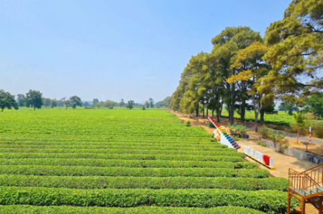 Tour Gia Lai - Măng Đen - Buôn Ma Thuột 3 Ngày 3 Đêm | Xe Giường Nằm Chất Lượng Cao Tour Gia Lai - Măng Đen - Buôn Ma Thuột 3 Ngày 3 Đêm | Xe Giường Nằm Chất Lượng Cao