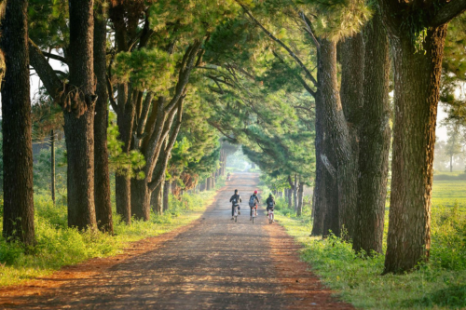 Tour Gia Lai - Măng Đen - Buôn Ma Thuột 3 Ngày 3 Đêm | Xe Giường Nằm Chất Lượng Cao Tour Gia Lai - Măng Đen - Buôn Ma Thuột 3 Ngày 3 Đêm | Xe Giường Nằm Chất Lượng Cao