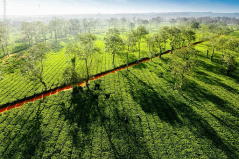 Tour Gia Lai - Măng Đen - Buôn Ma Thuột 3 Ngày 3 Đêm | Xe Giường Nằm Chất Lượng Cao Tour Gia Lai - Măng Đen - Buôn Ma Thuột 3 Ngày 3 Đêm | Xe Giường Nằm Chất Lượng Cao