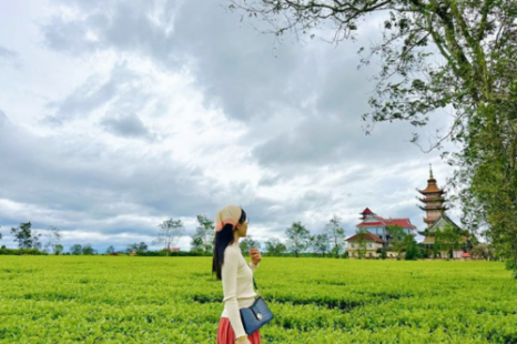 Tour Gia Lai - Măng Đen - Buôn Ma Thuột 3 Ngày 3 Đêm | Xe Giường Nằm Chất Lượng Cao Tour Gia Lai - Măng Đen - Buôn Ma Thuột 3 Ngày 3 Đêm | Xe Giường Nằm Chất Lượng Cao